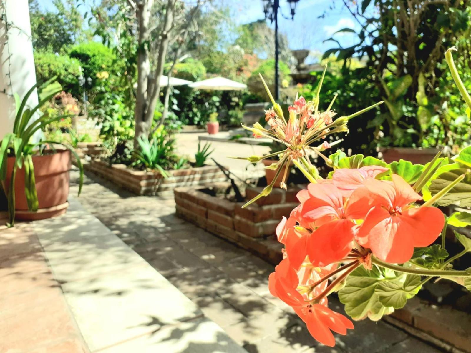 La Chacra De Joel Hotel Huehuetenango Ngoại thất bức ảnh