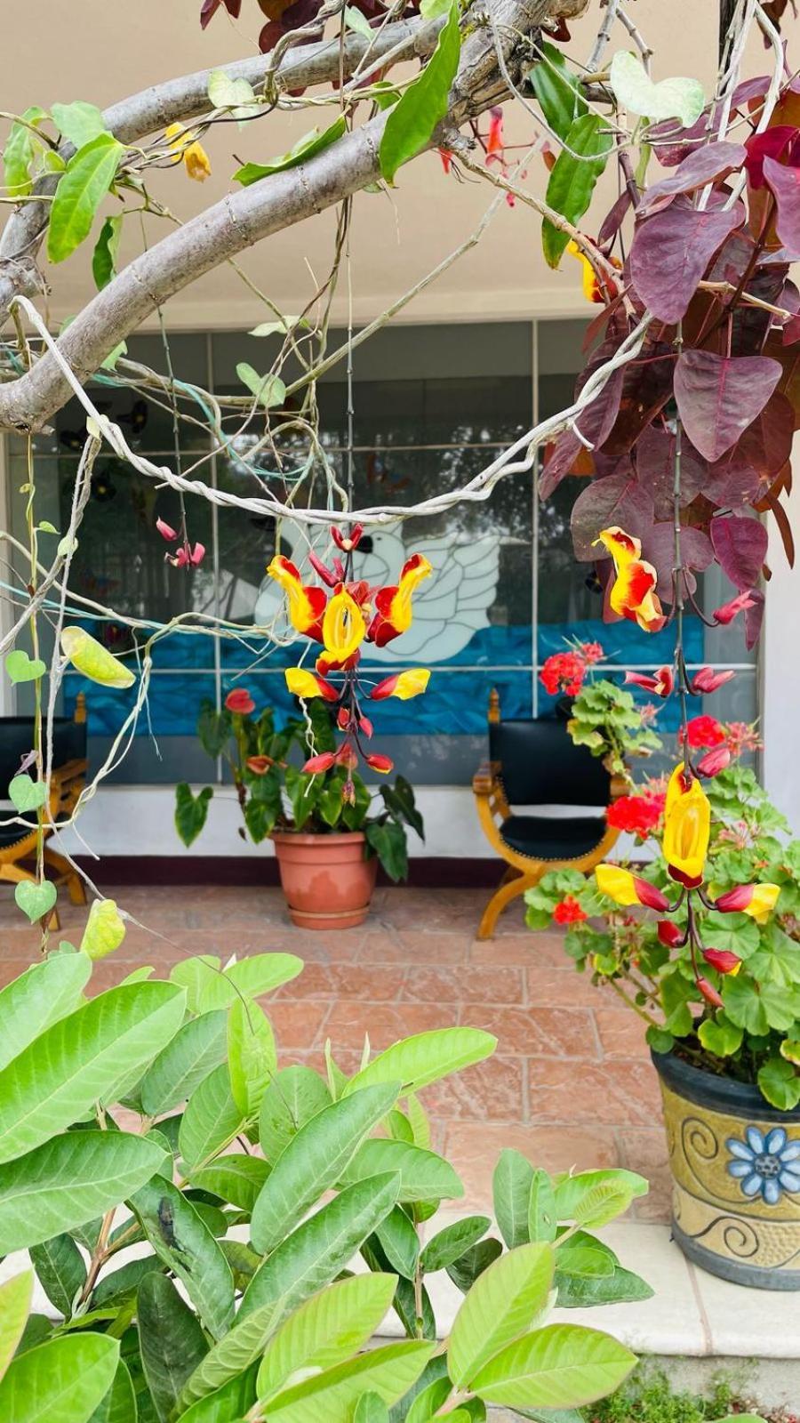 La Chacra De Joel Hotel Huehuetenango Ngoại thất bức ảnh