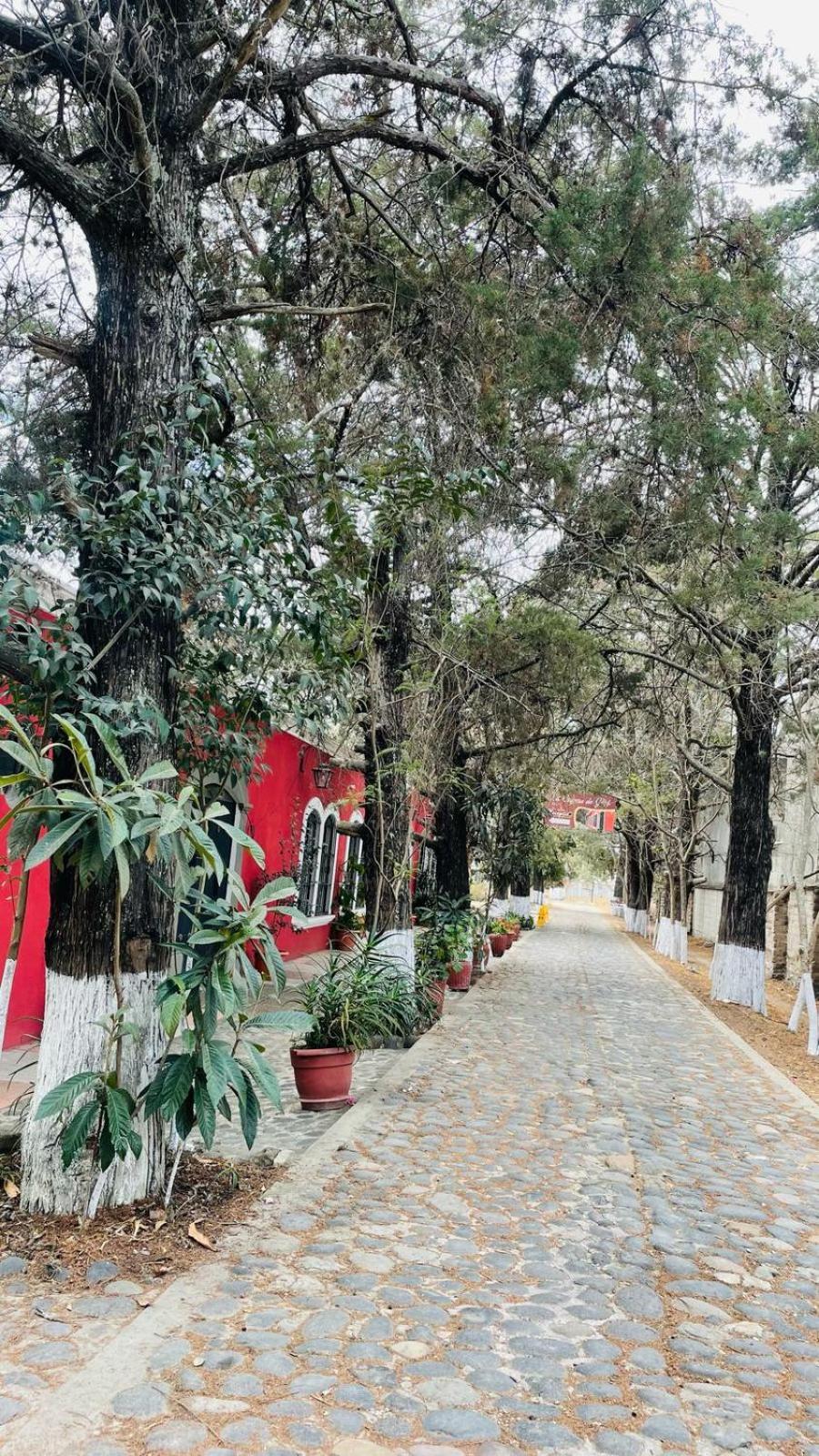 La Chacra De Joel Hotel Huehuetenango Ngoại thất bức ảnh